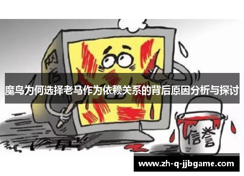 魔鸟为何选择老马作为依赖关系的背后原因分析与探讨